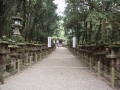 Nara : Kasugataisha